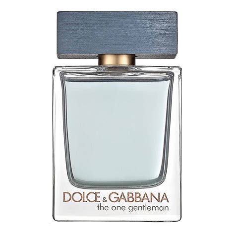 dolce gabbana the one season|d&g the one gentleman.